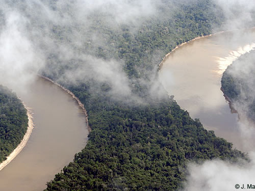 gran-aventura-en-la-selva